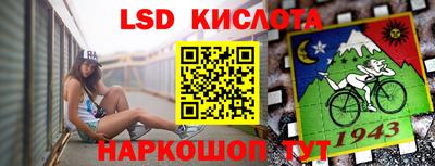 ПСИЛОЦИБИНОВЫЕ ГРИБЫ Гатчина