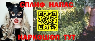 шишки Гагарин