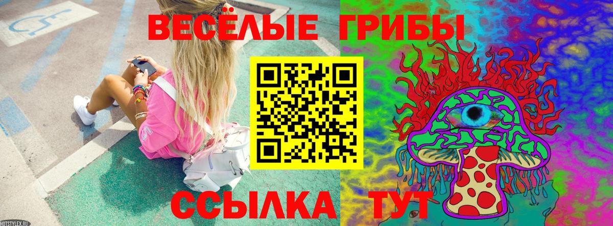где можно купить   Псилоцибиновые грибы прущие грибы  Вход с VPN  Белово 